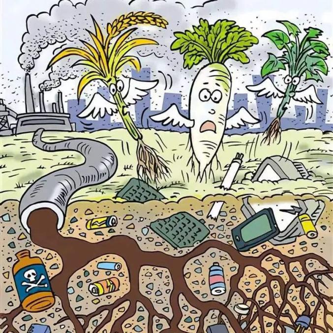 垃圾不分類的危害你了解嗎？