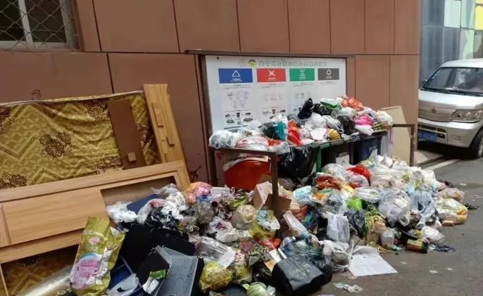 最新調研表明：垃圾分類工作取得實質性成效，但前端分類投放痛點仍普遍存在
