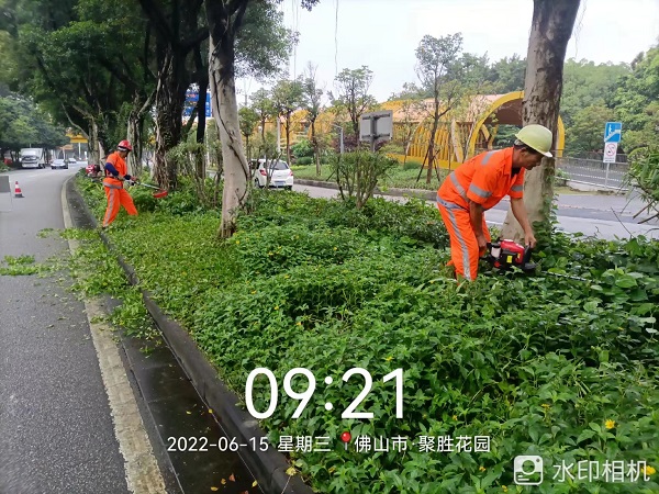 項目動態 | 打造美麗鳳城，築文明城市生態